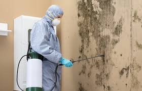 Best Comprehensive Air Testing for Mold Contaminants  in Chatham, IL